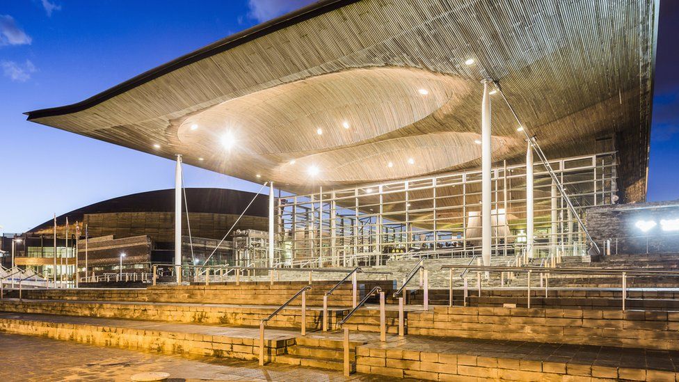 welsh senedd petitions