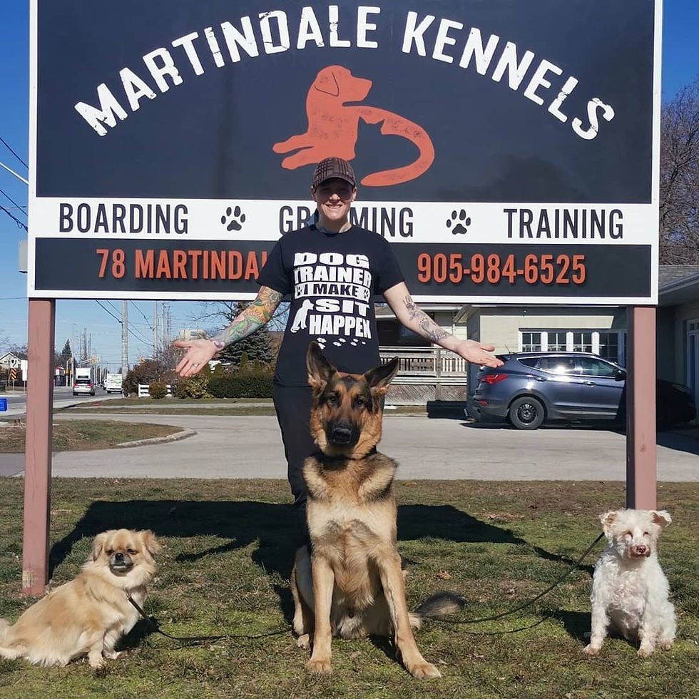 martindale kennels