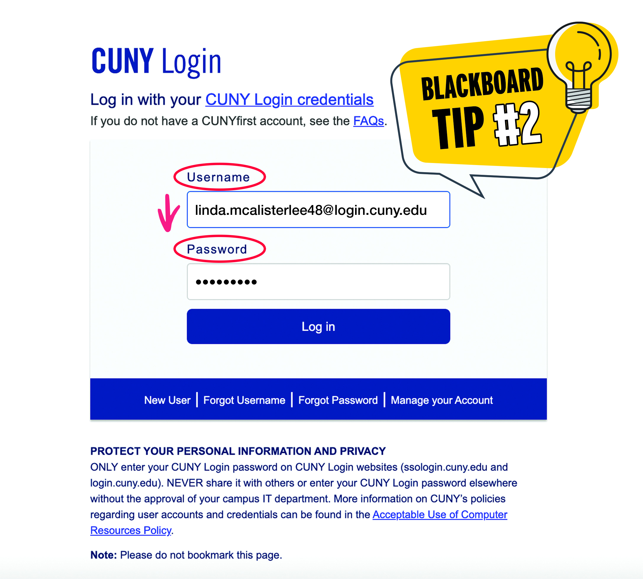 blackboard cuny login