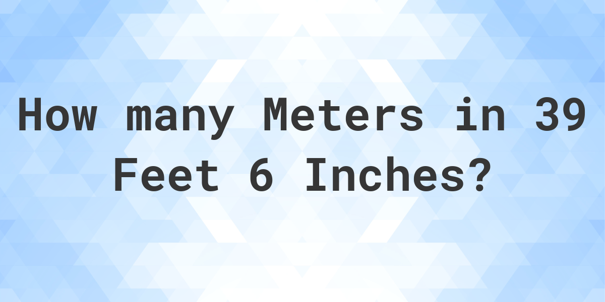 39 feet to meters