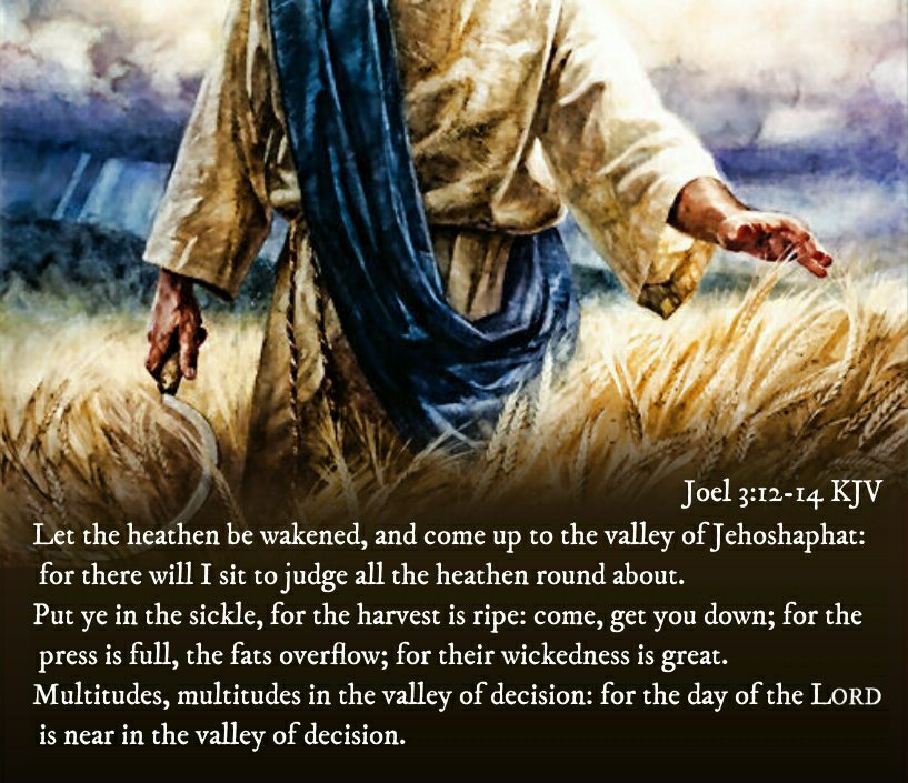 joel 3 14 kjv