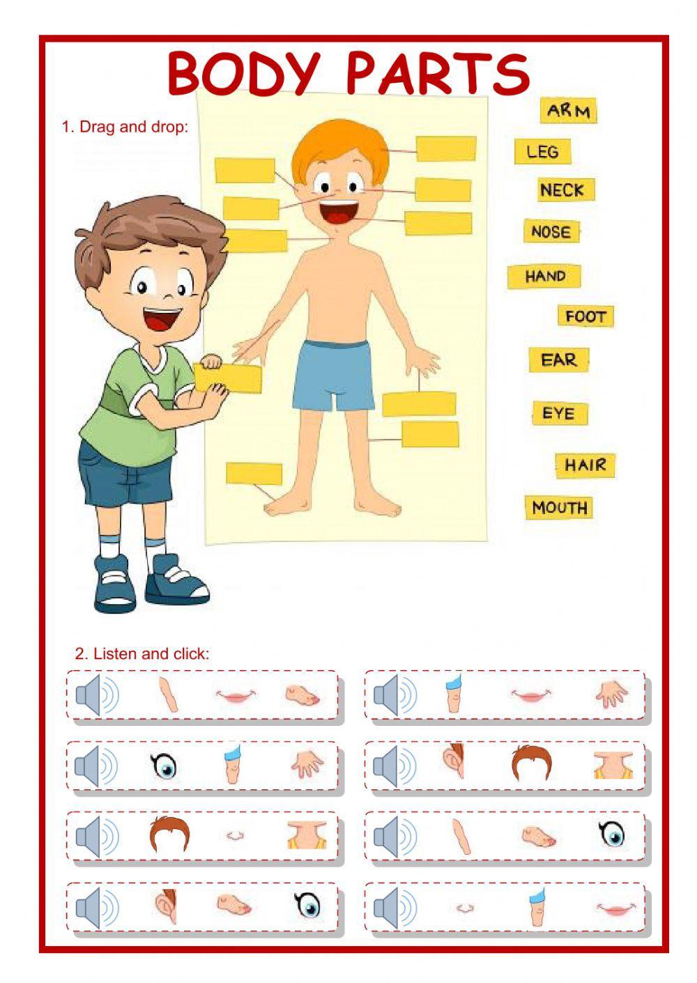 body parts live worksheet