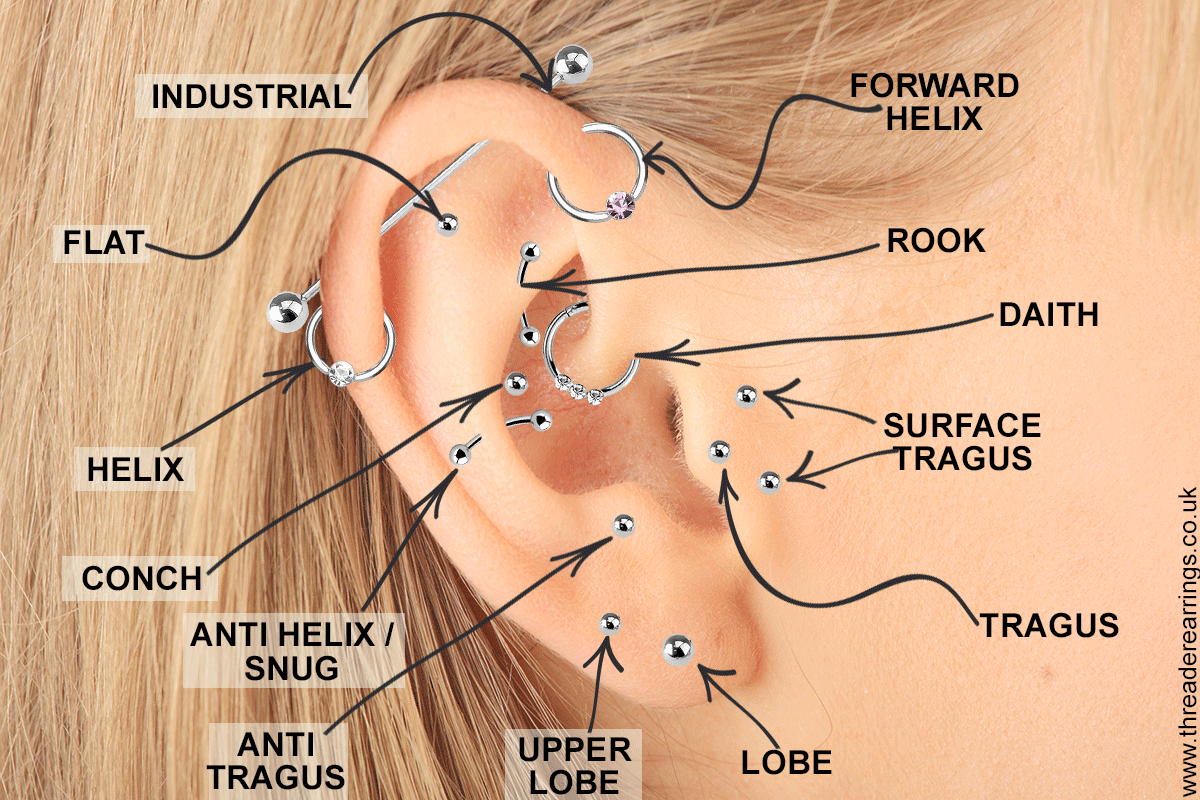 ear piercings chart