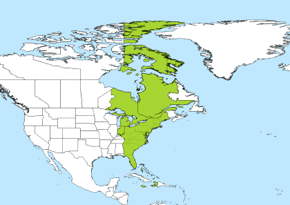 eastern time gmt