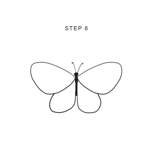 easy drawn butterfly