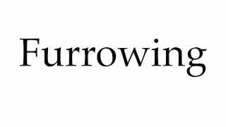 how to pronounce furrow