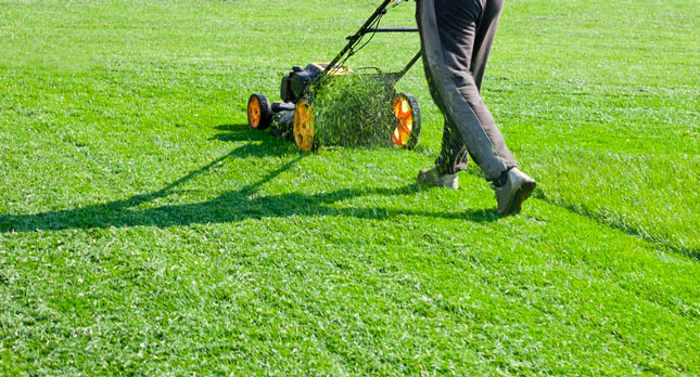 lawn service pics