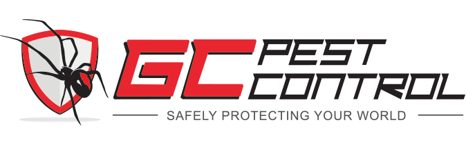 gc pest control gold coast