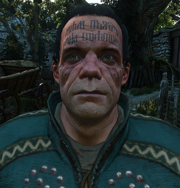 einar the witcher 3