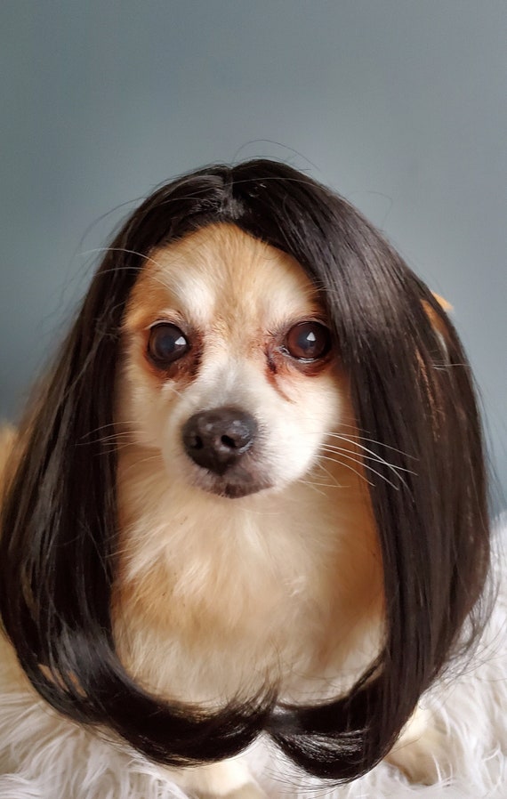 elegant pets wigs