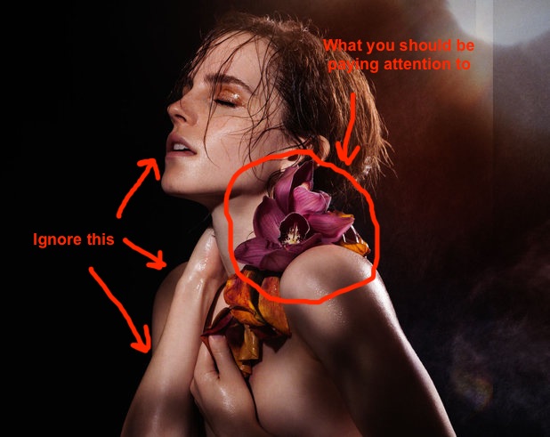 emma watson nudes pics