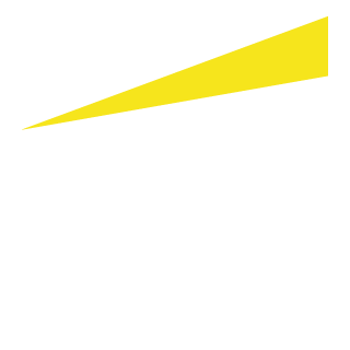 ernst and young global limited