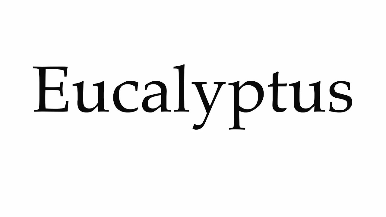 eucalyptus pronunciation