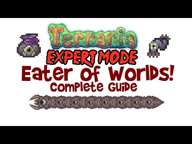 expert world terraria