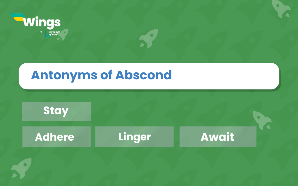 explore antonym