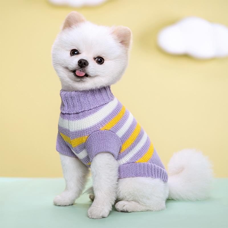 chihuahua dog clothes