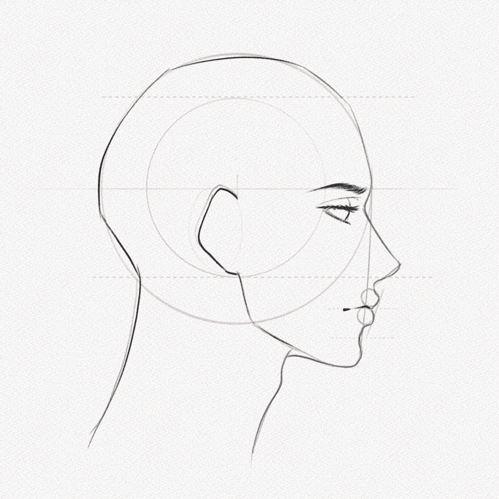 how to draw side profiles