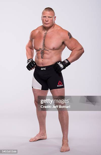 foto brock lesnar