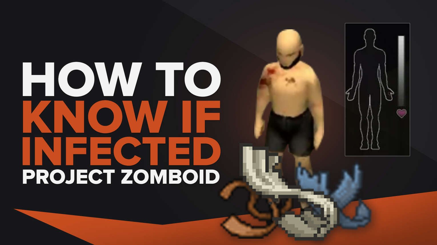 infection project zomboid