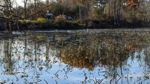 bannister lake conservation area