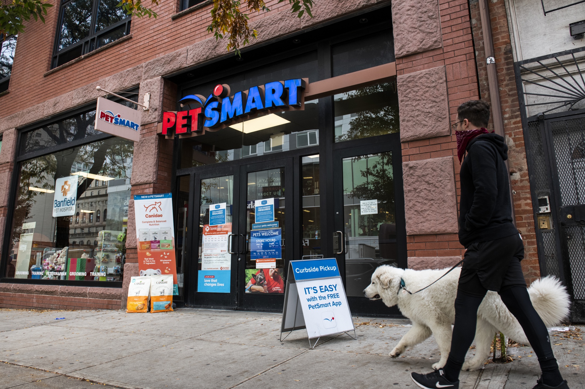 petsmart store