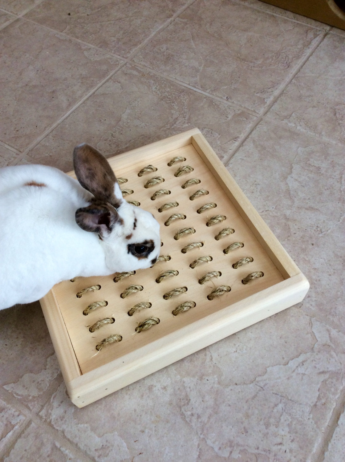 rabbit digging box