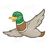 a flying duck crossword clue