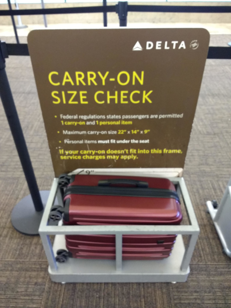 delta carry on liquid size