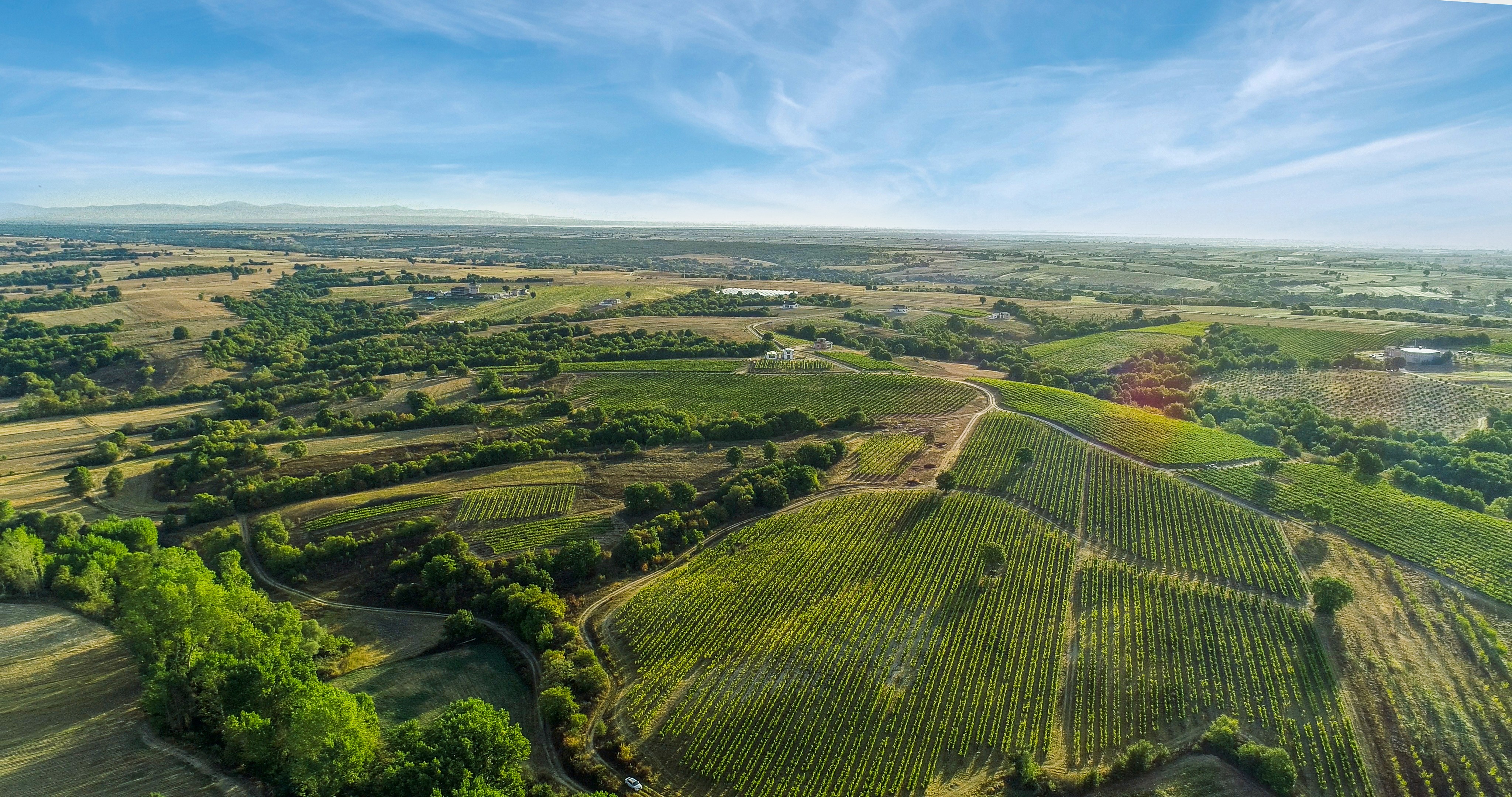 arcadia vineyards arcadia bağları