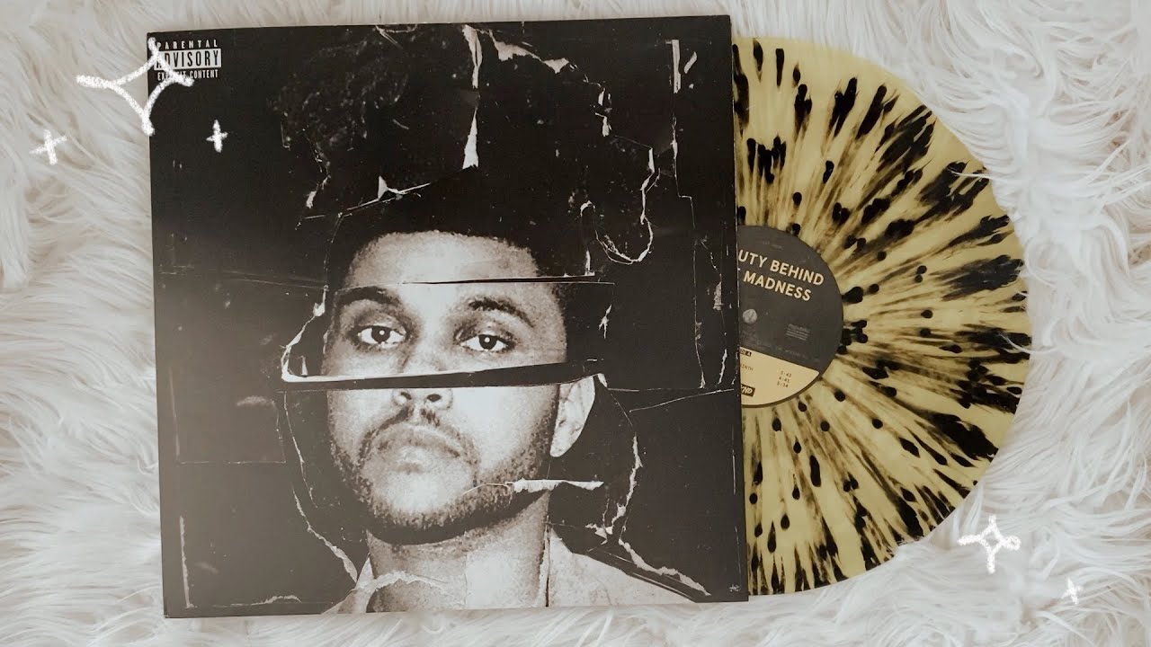 vinyl beauty behind the madness