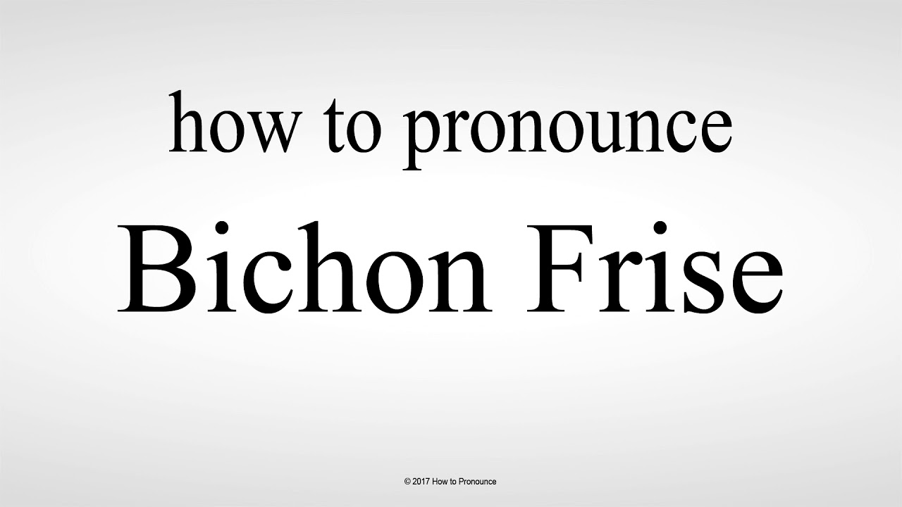 bichon frise pronounce