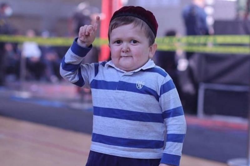 mini khabib