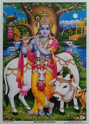 sri lord krishna