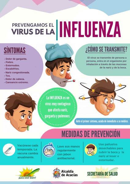 cartel de la influenza