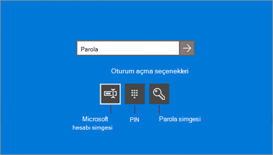 microsoft hesabınızda oturum açın