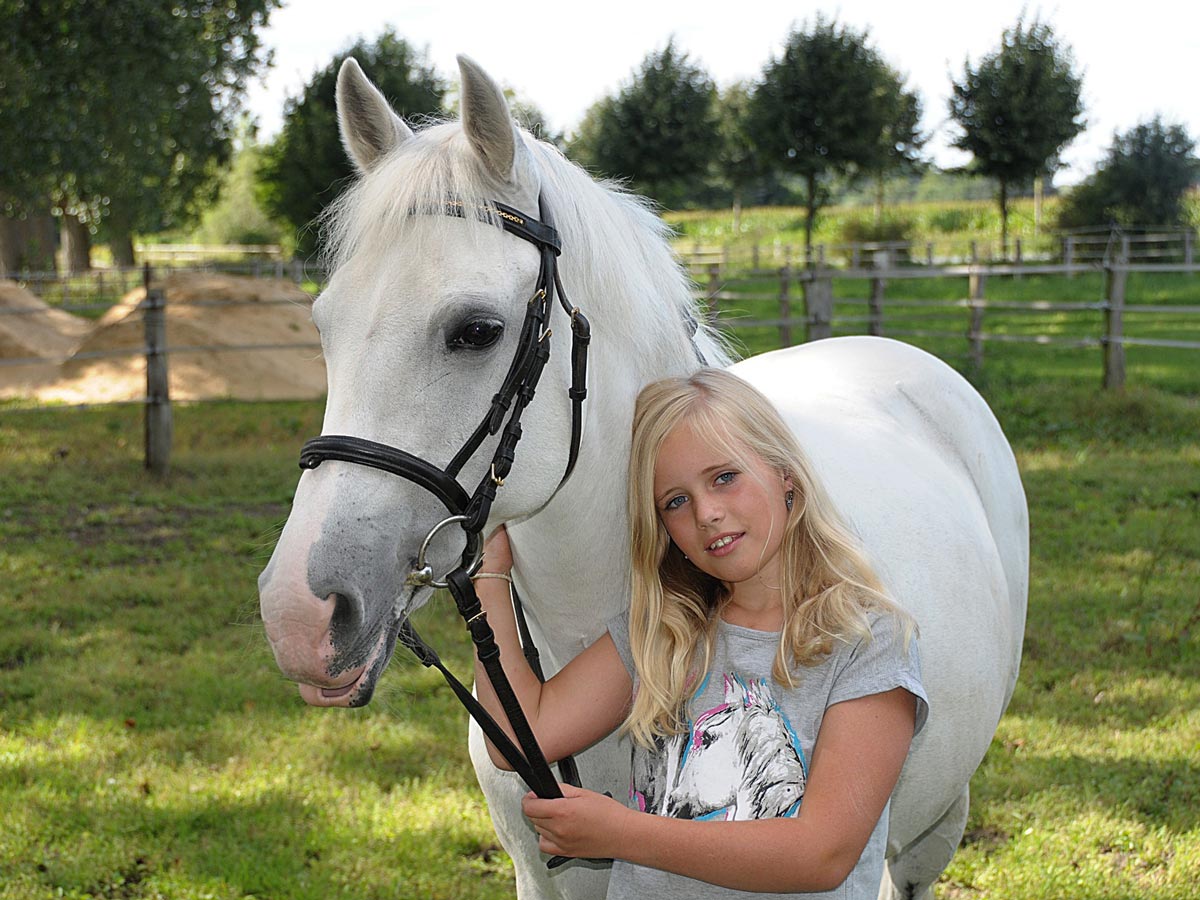 kid safe horses for sale in texas