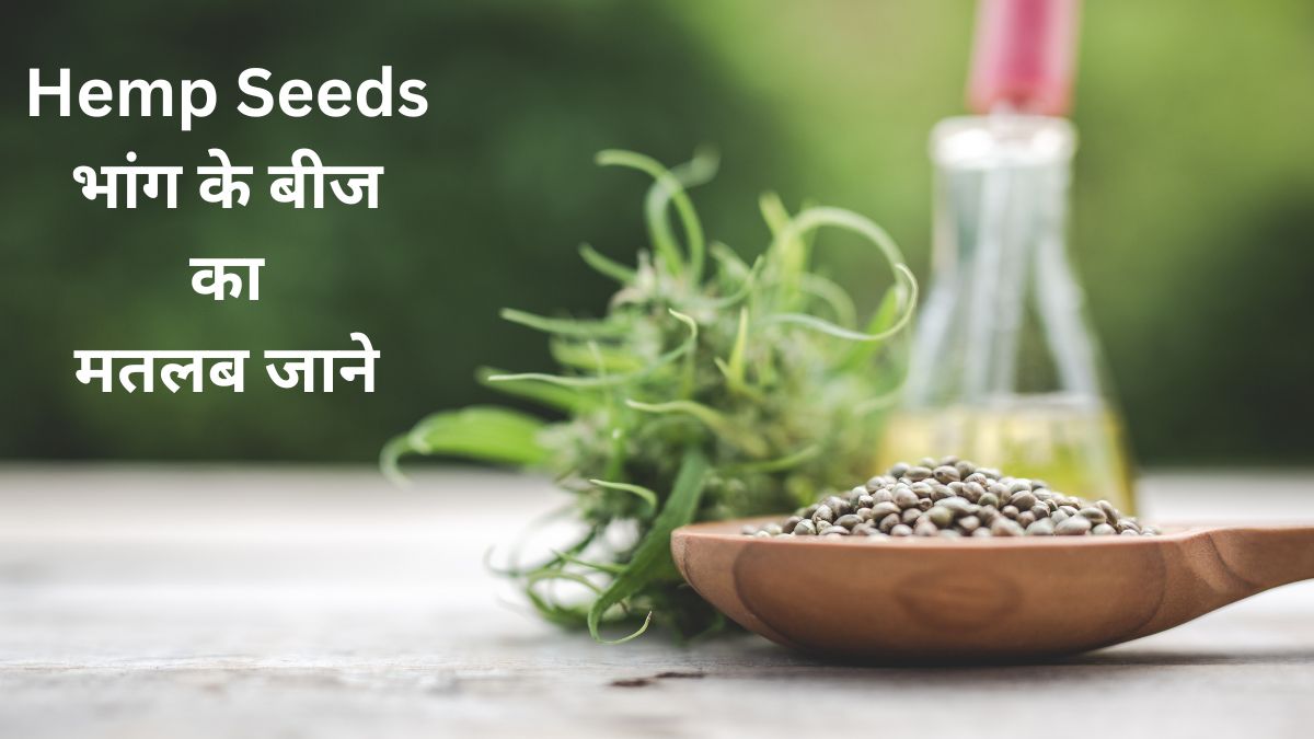 hemp hearts meaning in hindi