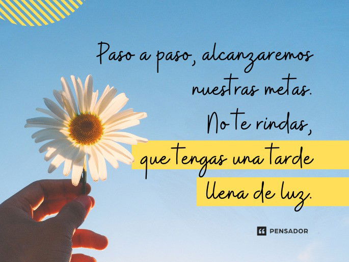 feliz tarde frases