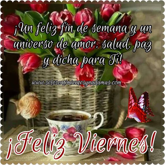 feliz viernes y fin de semana frases