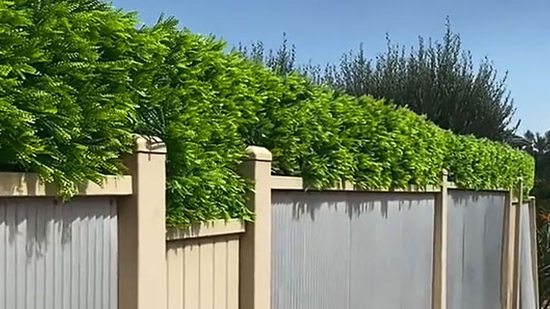 fence extenders for privacy