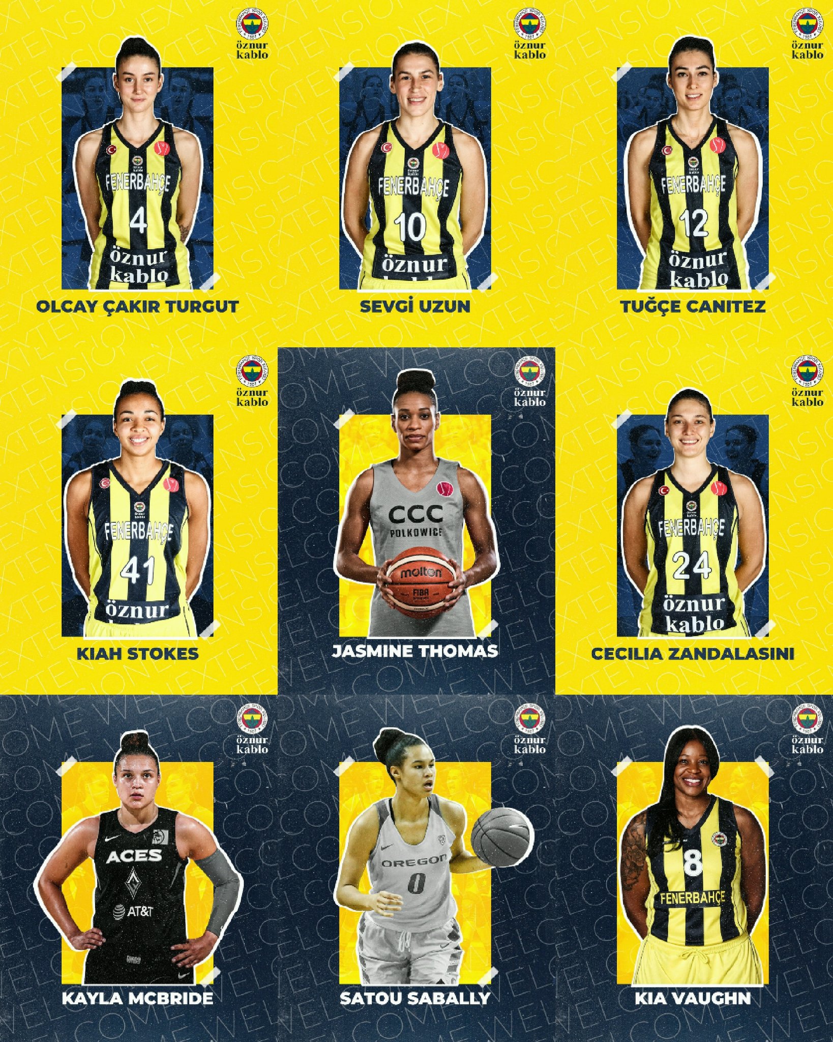 fenerbahçe basketbol takımı bütçesi