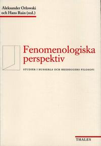 fenomenologisk perspektiv