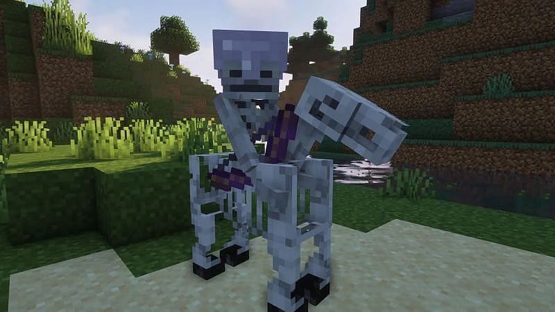 minecraft skeleton horseman