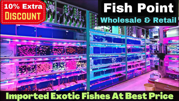 fish point best aquarium shop