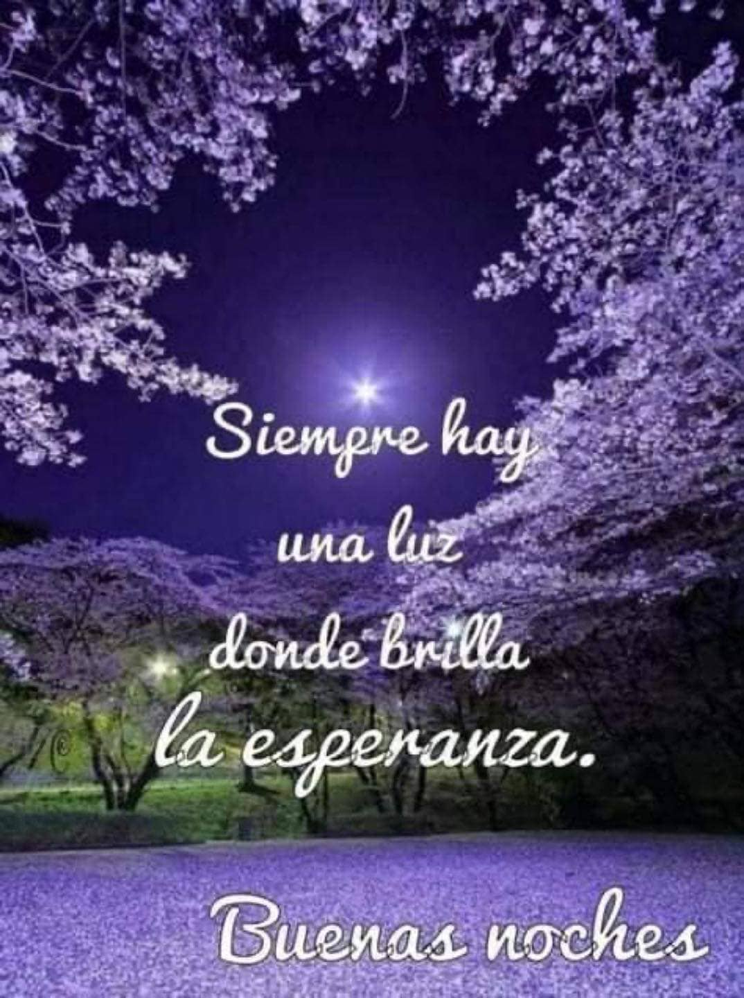 frases buenas noches bendiciones