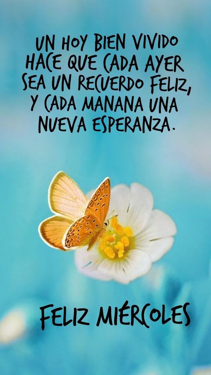 frases de feliz miercoles