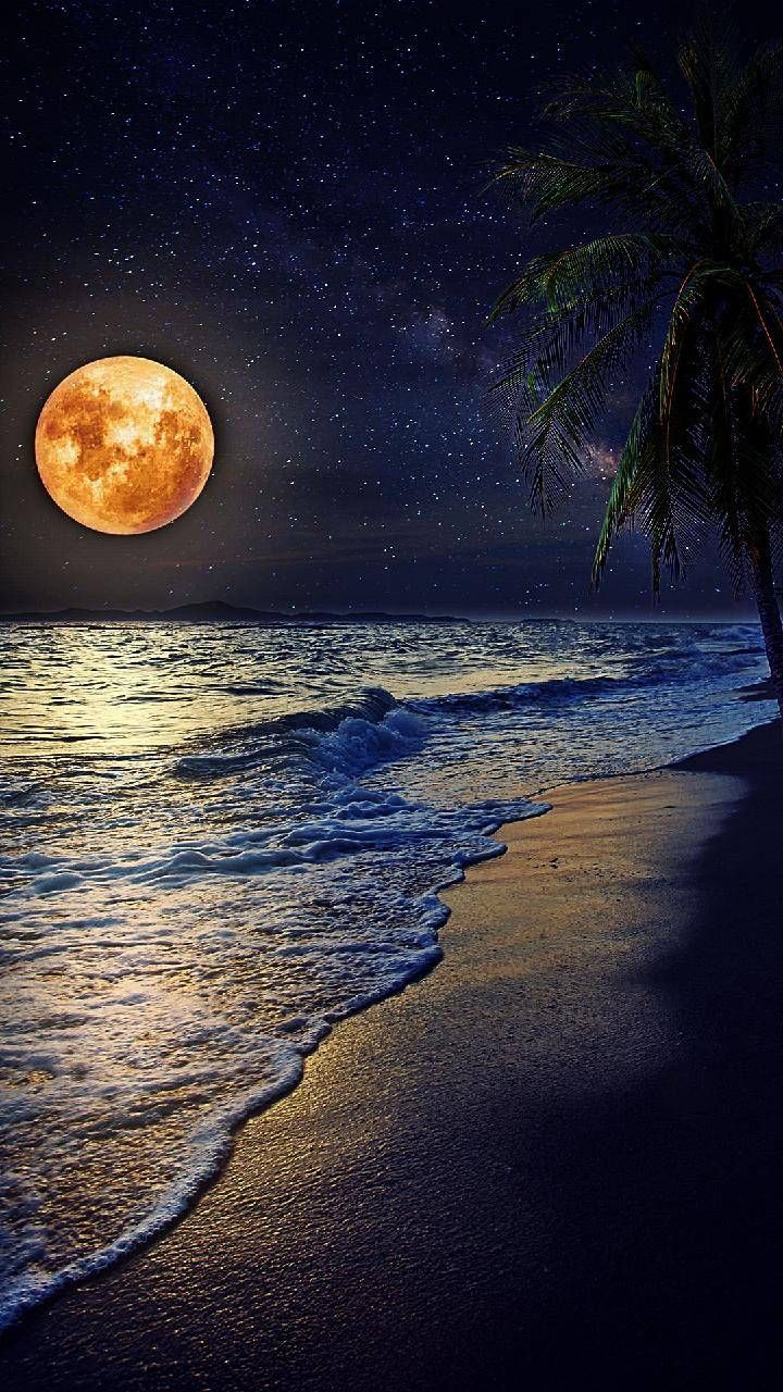 full moon sea wallpaper