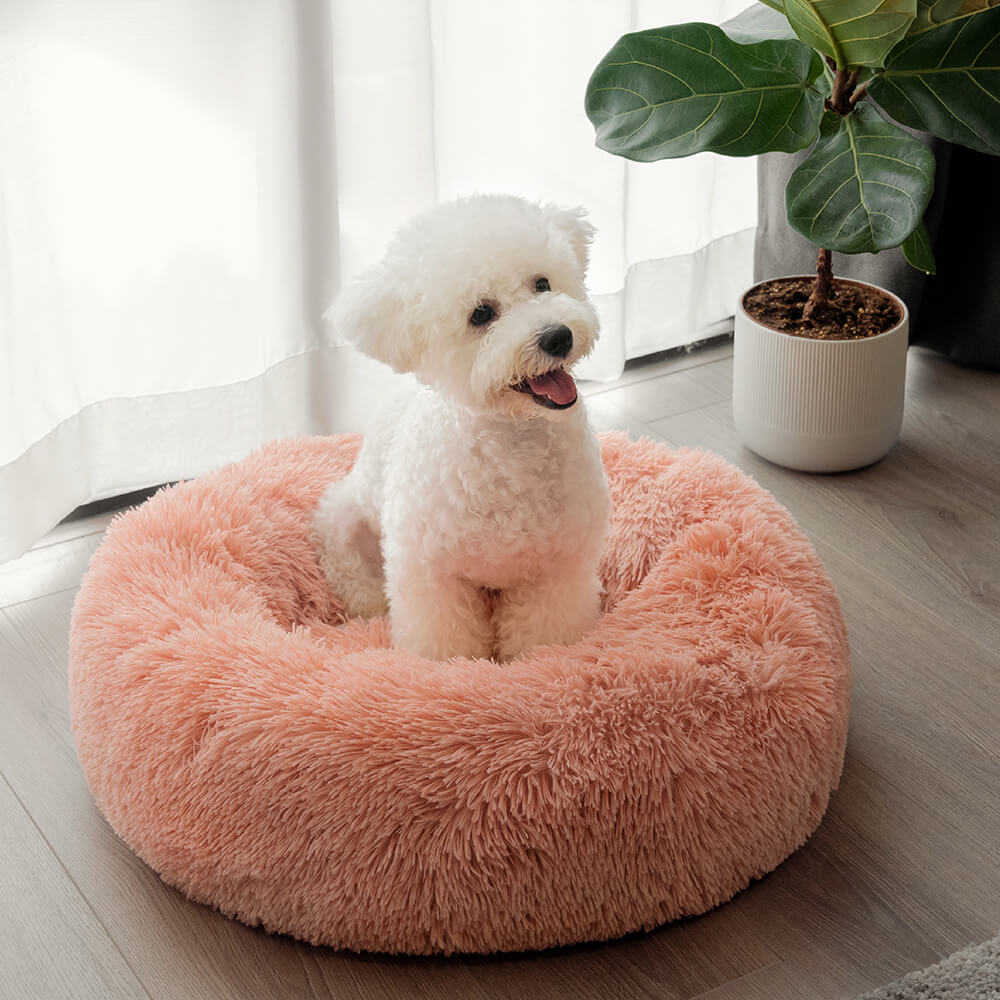 funny fuzzy dog bed reviews