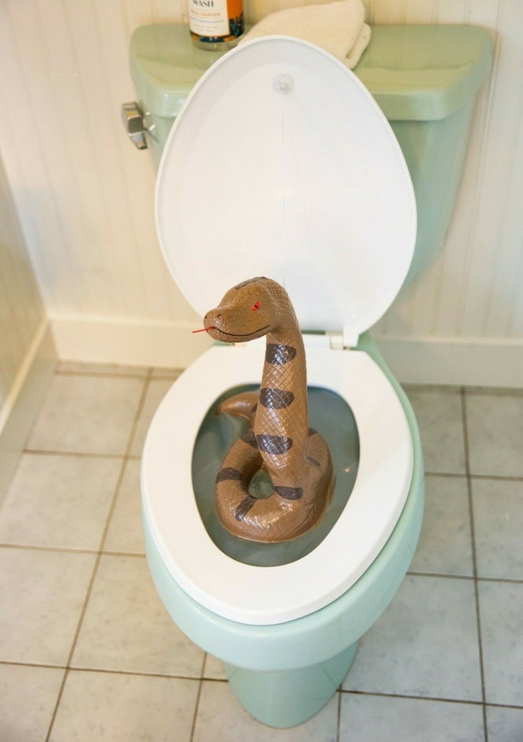 funny toilet bowl pictures