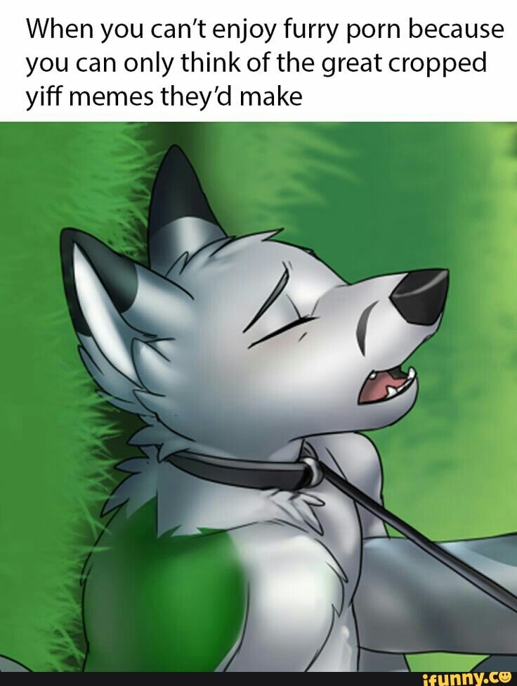 furry porn meme